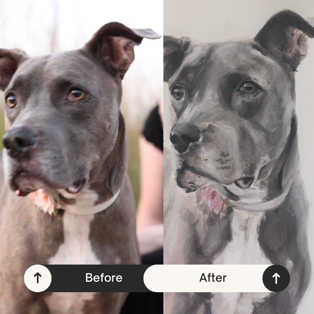 Custom Hand Painted Pet Portrait (8x10)