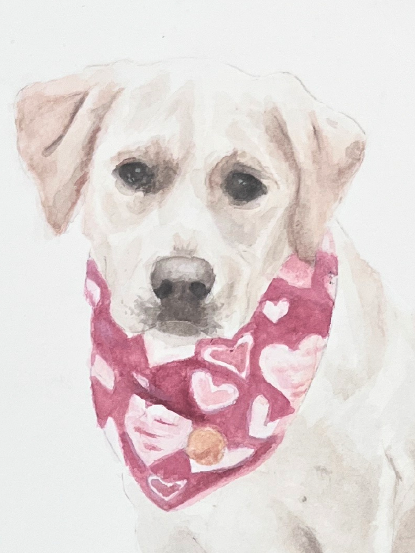 Custom Hand Painted Pet Portrait (8x10)